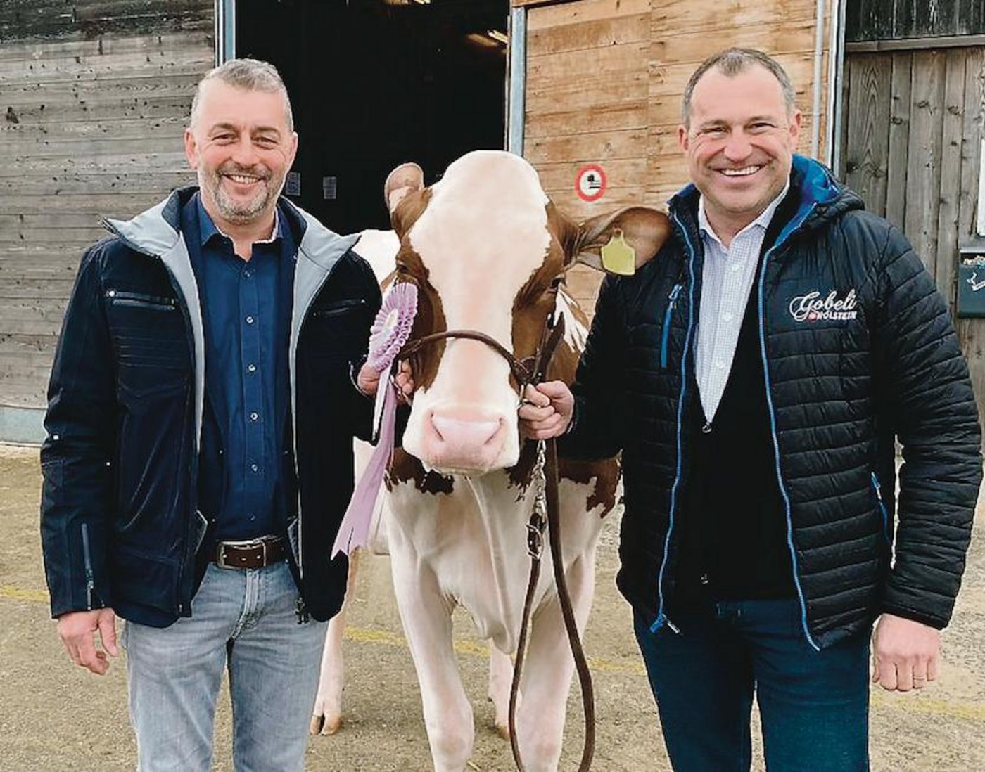 Hansjörg Räz (links) und Ruedi Gasser mit ihrer roten Schaukuh All-Star Agent Elegance,  welche schon einige Titel einheimsen konnte. (Bilder zVg)
