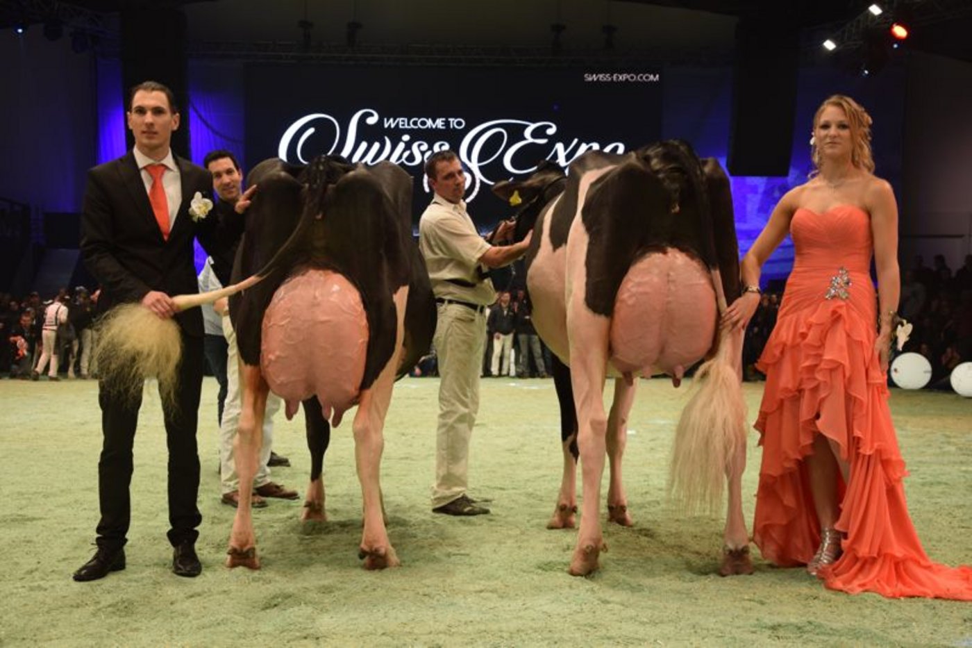 Senior Schöneuter (links): Hellender Goldwyn Glinnia, Anton, Thomas und Andreas Ender, Kallern  Reserve Senior Schöneuter (rechts): DH Gold Chip Darling, Roger Frossard, Les Pommerats.