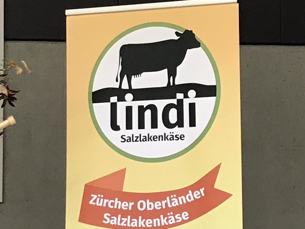 Lindi» steht für Lindau als Standort für die landwirtschaftliche Schule Strickhof mit schweizweit zentraler Bedeutung für Innovation