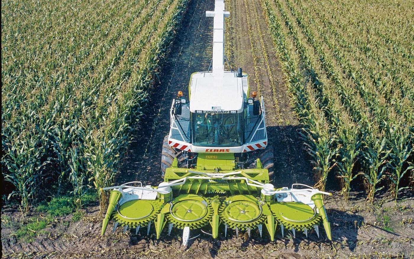 Wie sehen der Nährwert, die Konservierungsqualität, der Zustand der Körner und die Schnittlänge der Silage aus?