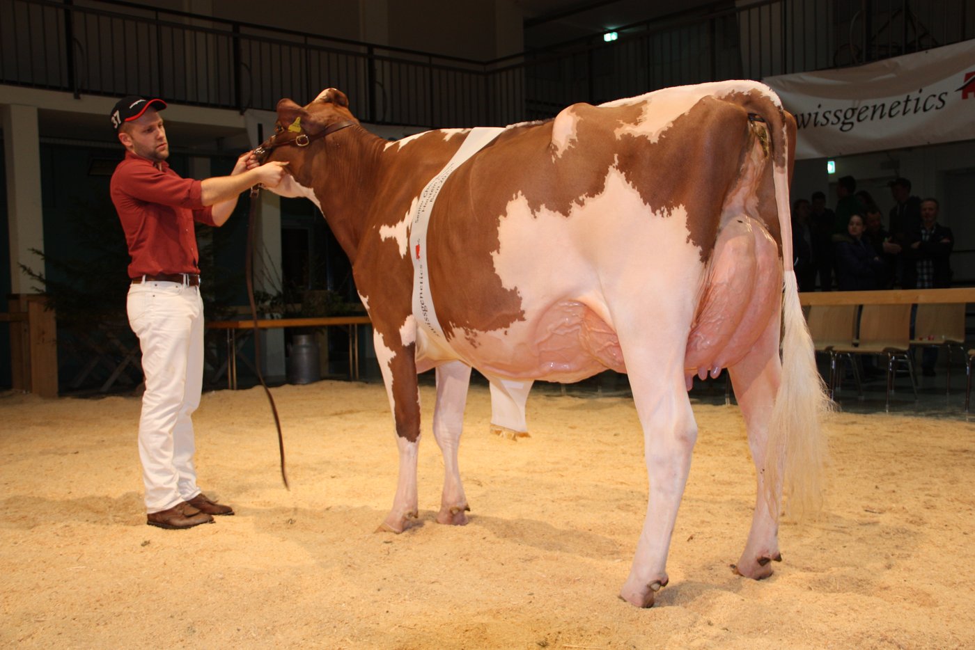 Sidney Red gewann in ihrer Kategorie den Kategoriensieg und auch den Schöneutertitel. (Bild aw) 