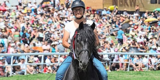 Am Marché Concours in Saignelégier: Für Brigitte Favre ist der Freibergerhengst Hayden (Houston/Eiger) ein ganz spezielles Pferd. 