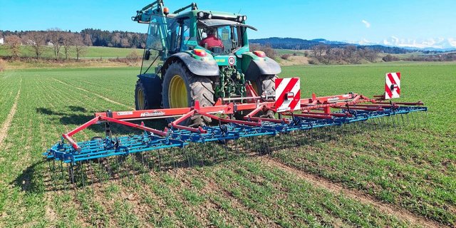 Im Vergleich zu Präzisionsstriegeln sind auch mit direkt gefederten Striegelzinken gute Ergebnisse bei der Unkrautbekämpfung möglich.