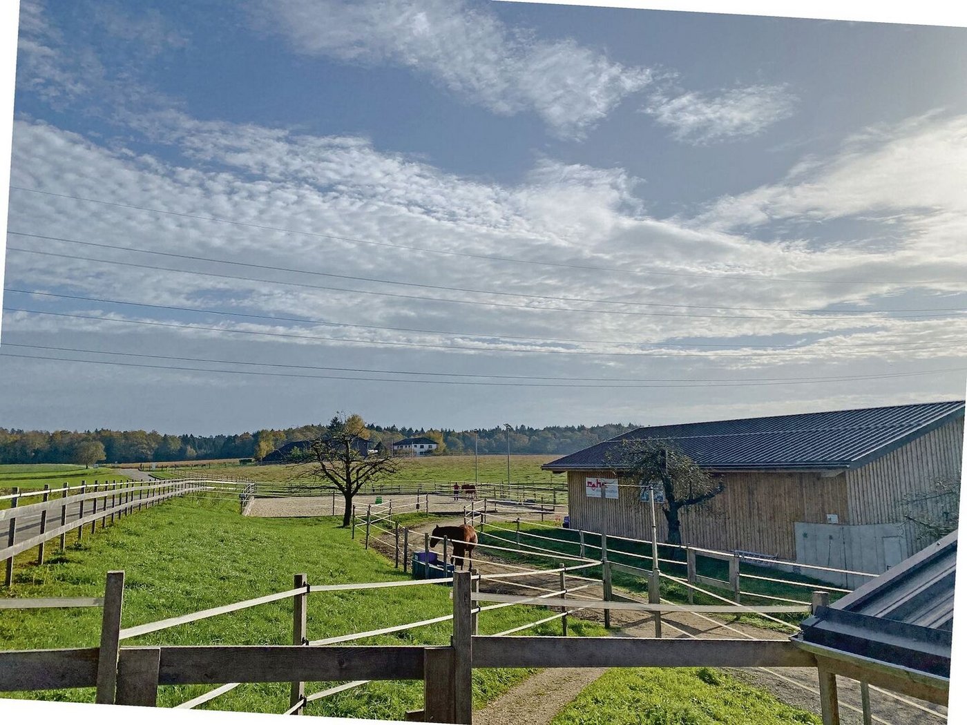 Der Paddock-Trail mit den unterschiedlichen Untergründen schlängelt sich um das ganze Gelände. Im Hintergrund ist der bewässerte Sandplatz ersichtlich, vorne die Liegehalle, die mit Miscanthus-Leinen-Einstreu ausgestattet und mit Solarpanels gedeckt ist.