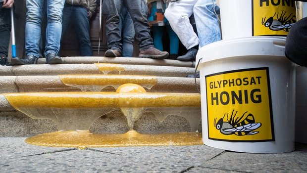 Das betroffene Imkerpaar Seusing muss 4 Tonnen Honig entsorgen, weil er zu viel Glyphosat enthält. (Bild zVg)
