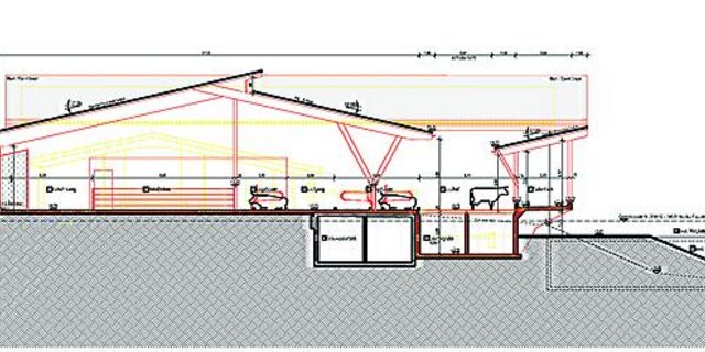 Auf der Rütti in Zollikofen will der Kanton Bern einen Stall errichten, der von der Pächterfamilie wirtschaftlich betrieben werden kann. 62 Kühe und 35 Kälber sollen im modernen Laufstall Platz haben. (Bild zVg)