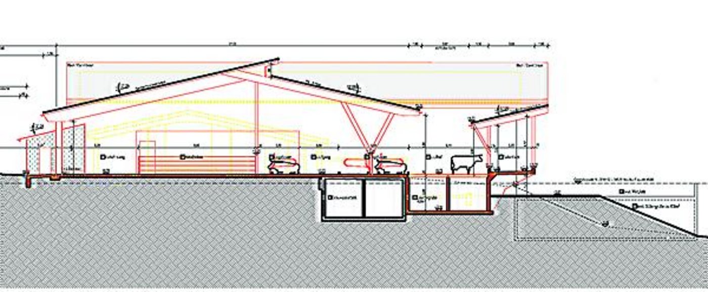 Auf der Rütti in Zollikofen will der Kanton Bern einen Stall errichten, der von der Pächterfamilie wirtschaftlich betrieben werden kann. 62 Kühe und 35 Kälber sollen im modernen Laufstall Platz haben. (Bild zVg)