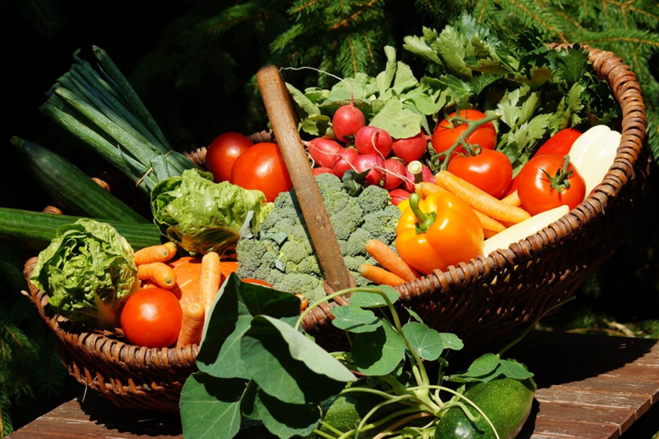 Beim Bio-Gemüse ist der Umsatz hingegen gestiegen. (Bild pixabay)