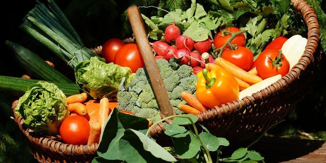 Beim Bio-Gemüse ist der Umsatz hingegen gestiegen. (Bild pixabay)