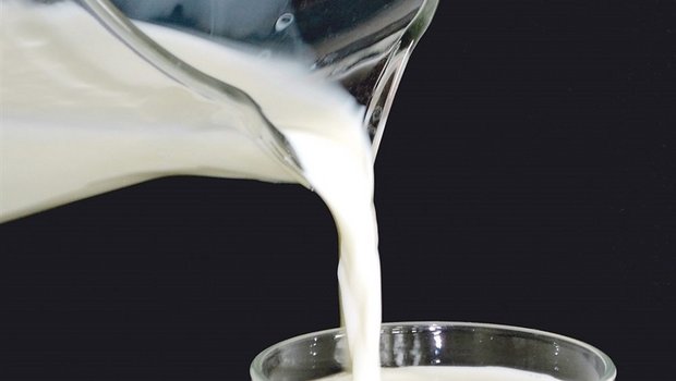 Laut der SMP ist eine Erhöhung der Milchpreise möglich. (Bild BauZ)