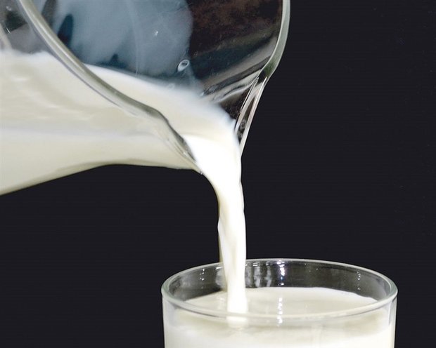 Laut der SMP ist eine Erhöhung der Milchpreise möglich. (Bild BauZ)
