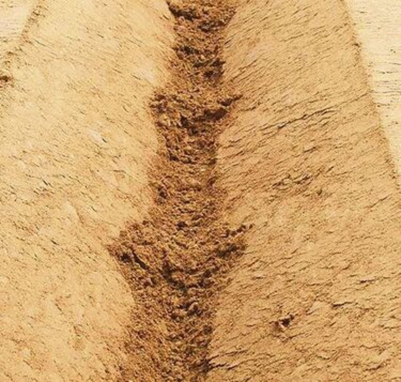 Dank Dyker: Löcher und Querdämme in den Furchen.