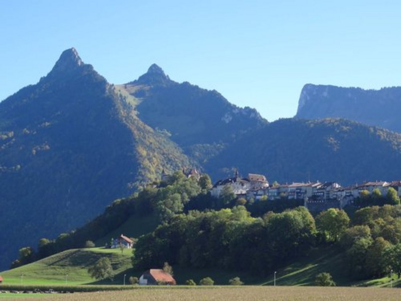 Erstmals liegt die Anzahl der landwirtschaftlichen Betriebe in Freiburg unter 3'000. (Bild: lid)