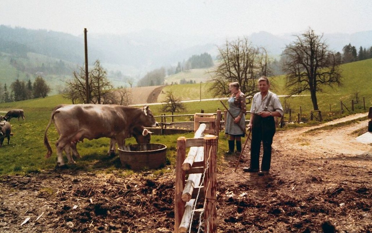 Auf dem Bild sieht man meine Eltern. Am 26. April 1978 wurde unser Braunvieh auf die Weide gelassen. 