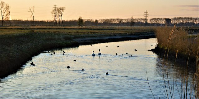 Wie die Entscheidung am 13. Juni ausfällt, lässt sich noch kaum abschätzen. Es zeigen sich aber bereits deutliche Lager. (Bild FotoRieth / Pixabay) 