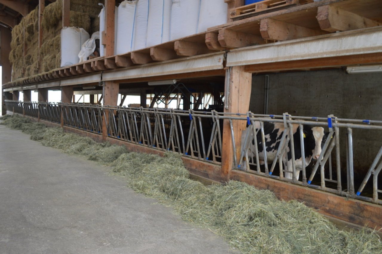 "Unsere Kühe melken noch einmal besser und schneller", erklärt der Bauer Kolly.