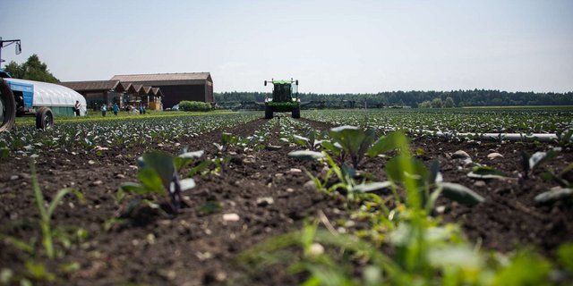 Die Effizienz der Feldroboter ist ein umstrittenes Thema. (Bild BauernZeitung/Archiv)
