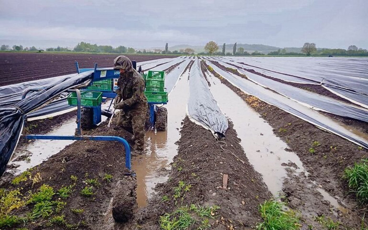 Kein Interesse an den Programmen der SRG: Saisonale Erntehelfer konsumieren während ihres Aufenthalts in der Schweiz lieber Medien aus ihren Heimatländern. 