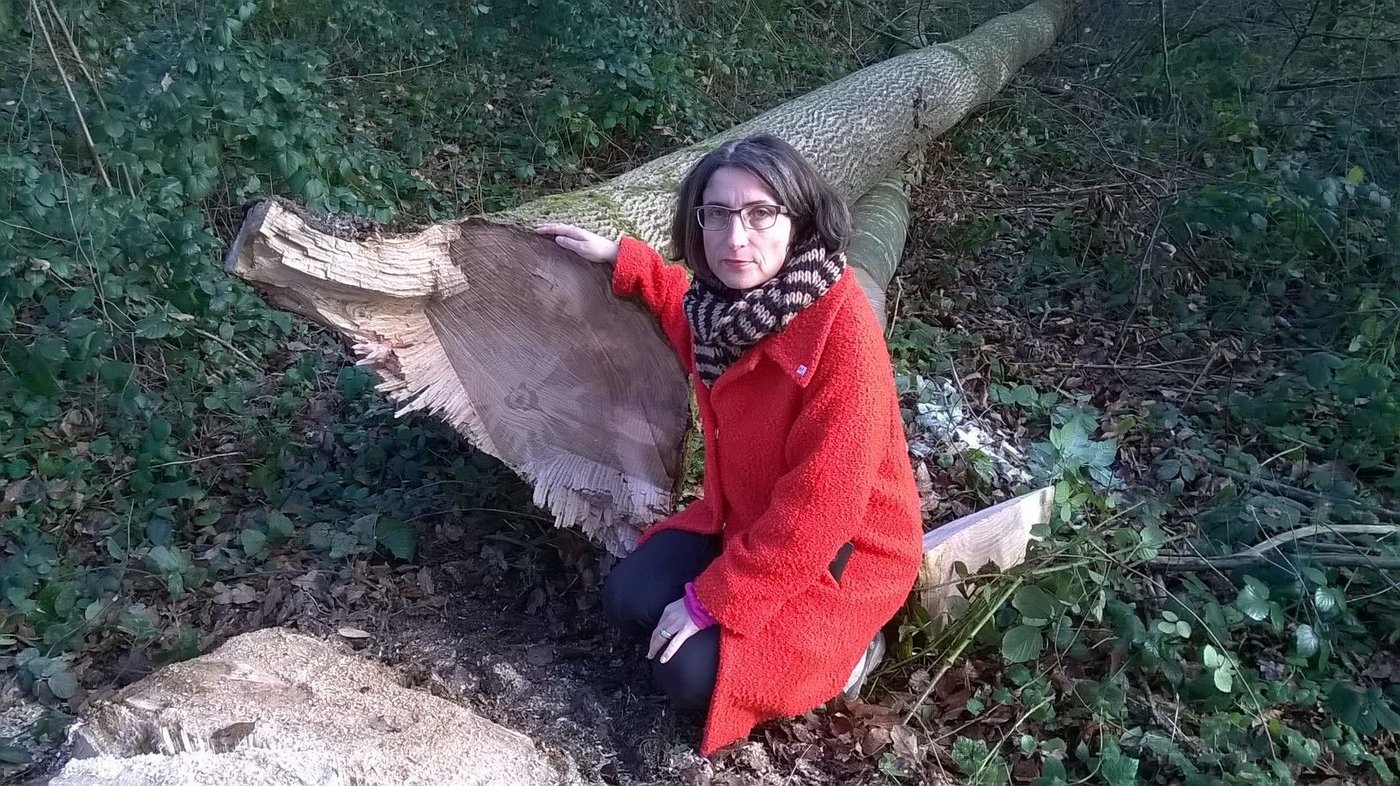 Regierungsrätin Manuela Weichelt-Picard mit einer erkrankten Esche (dunkle Stellen im Holz). (Bild zVg)