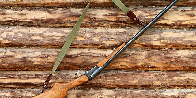 Dieses Jahr wurden im Tessin 50 Wildschweine mehr erlegt als noch 2018. (Bild Pixabay)