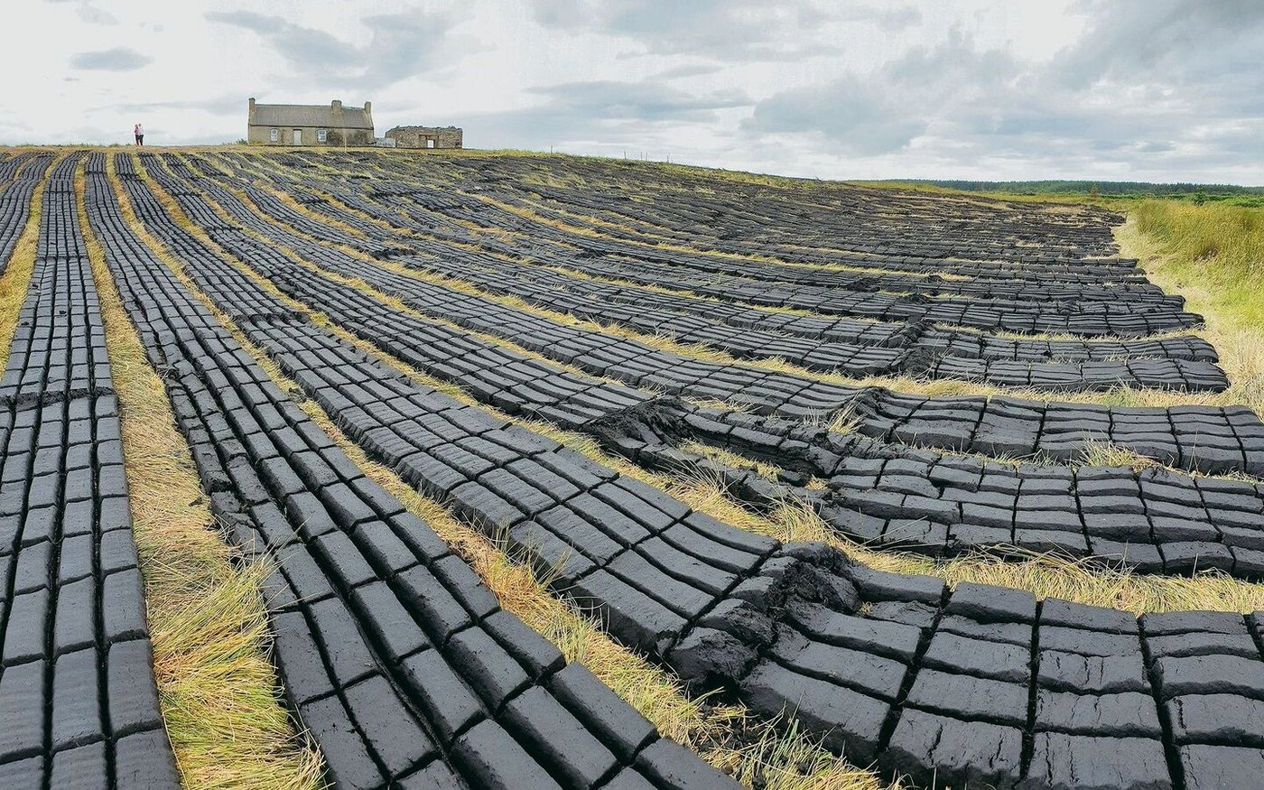 Alle Irinnen und Iren haben ein Recht darauf, für den Eigenbedarf Torf zu stechen. Fein säuberlich aufgereiht liegen die Torfbarren zum Trocknen aus.