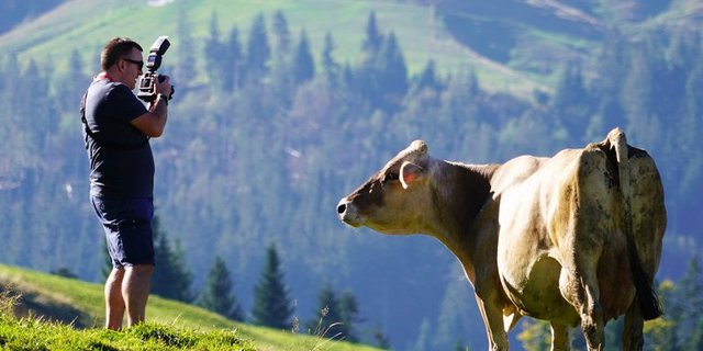 Schweizer Kühe hautnah. (mr) 