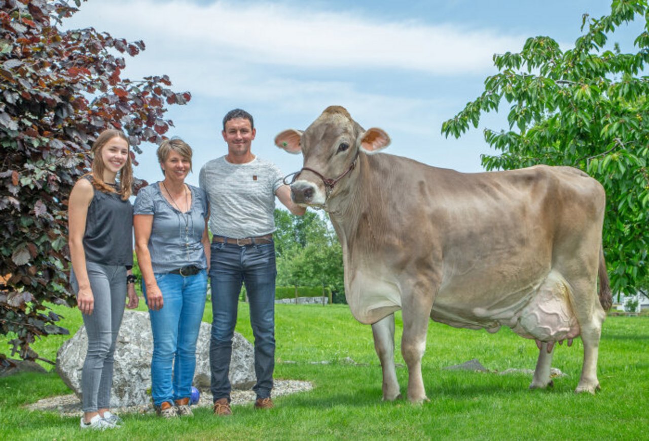 Heini Stricker, hier mit Frau Esther und Tochter Simone war erster Schweizer Branding-Botschafter. Stolz präsentiert er Kuh Vigor Liga, welche über 110'000 kg Milch bei 4.37 % Fett und 3.54 % Eiweiss gegeben hat. (Bilder Braunvieh Schweiz)