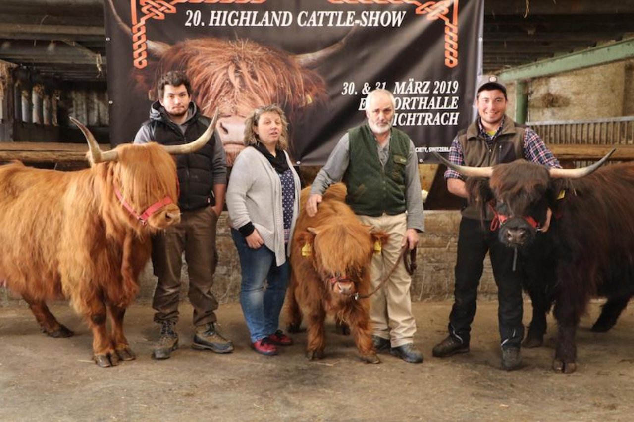 Die Familie ist bereit für die Highland Cattle Show in Wichtrach BE. (Bild asa)