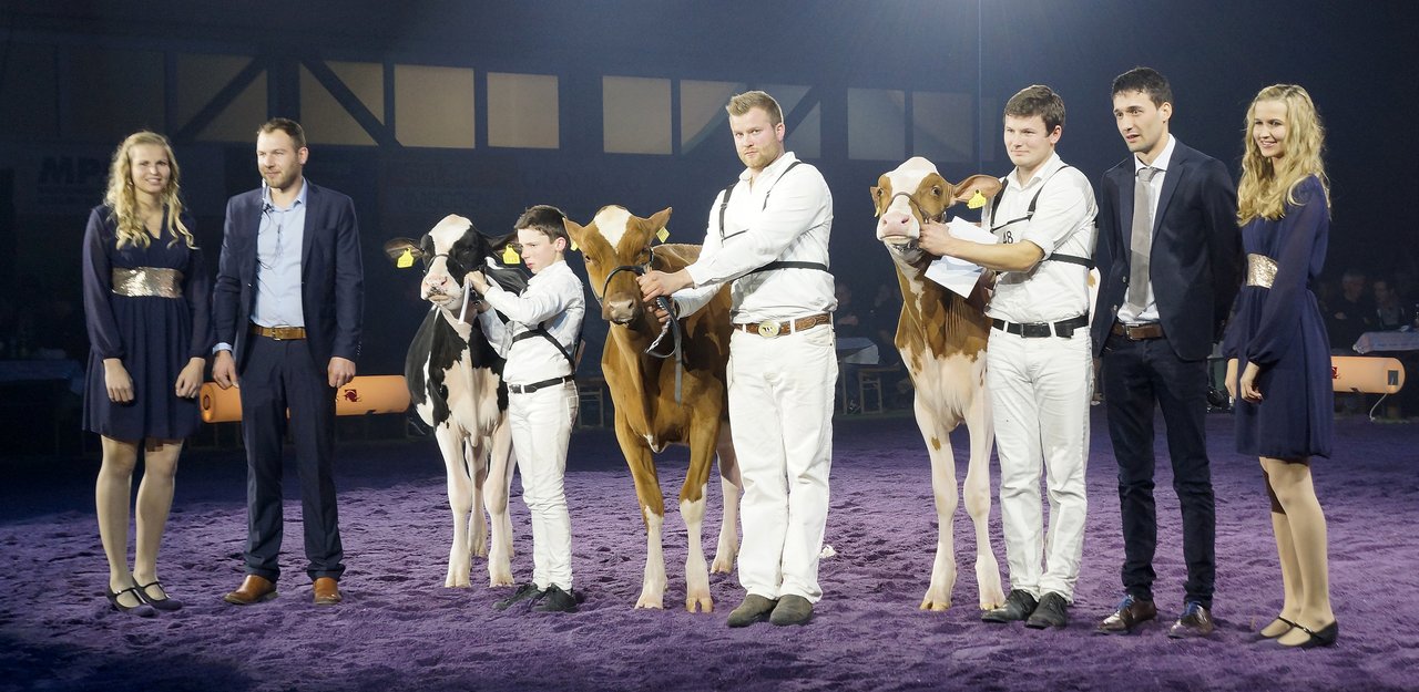 Showmanship v.r.: Fankhauser Michael (Sieger), Giger Jonas (2.) und Bürkli Jann (3.)