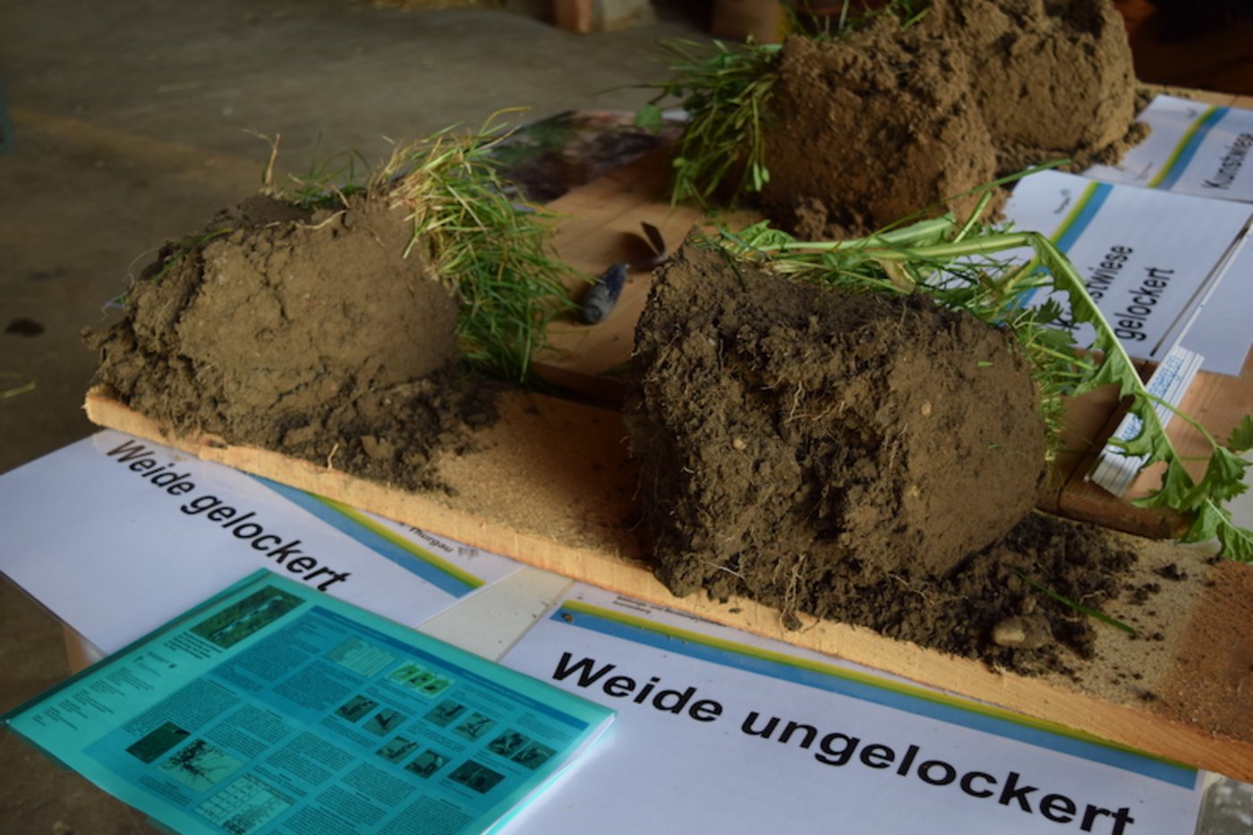 Die Spatenprobe liefert wichtige Informationen über den Bodenzustand.