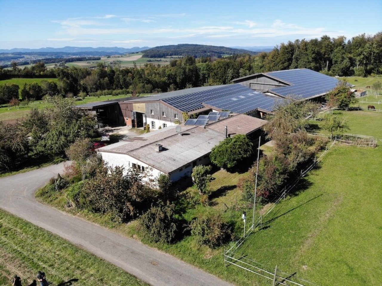2600 m2 Solarpanels zieren das Dach vom Erushof und produzieren 400 '000 kW Strom pro Jahr. (Bild zVg)