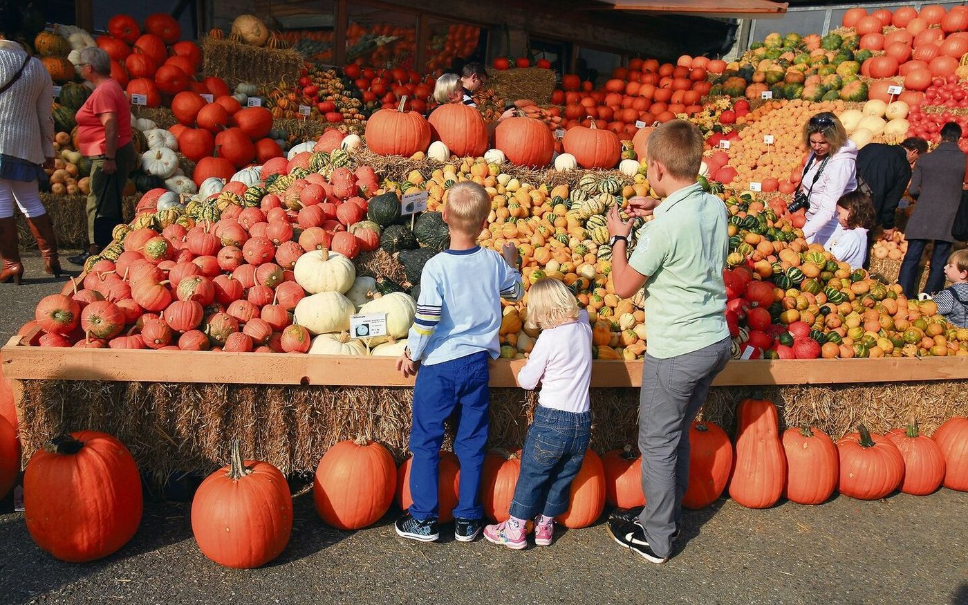 Ein Bild aus vergangenen Jahren. Diesmal war das Angebot an der Kürbisausstellung Bürlimoos kleiner.   