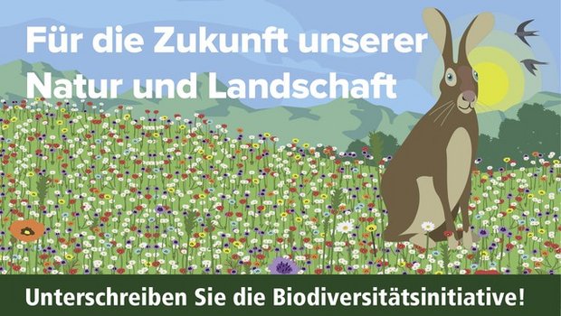 Für beide Initiativen konnten innerhalb eines Jahres genug Unterschriften gesammelt werden. (Bild biodiversitaet-landschaft.ch)