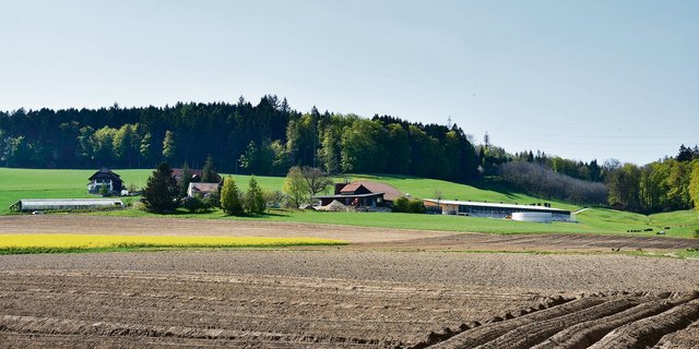 Vor der Weiterbewirtschaftung von Zupachtland sollte beim ­­Verpächter eine schriftliche Erklärung eingereicht werden. (Symbolbild BauZ)