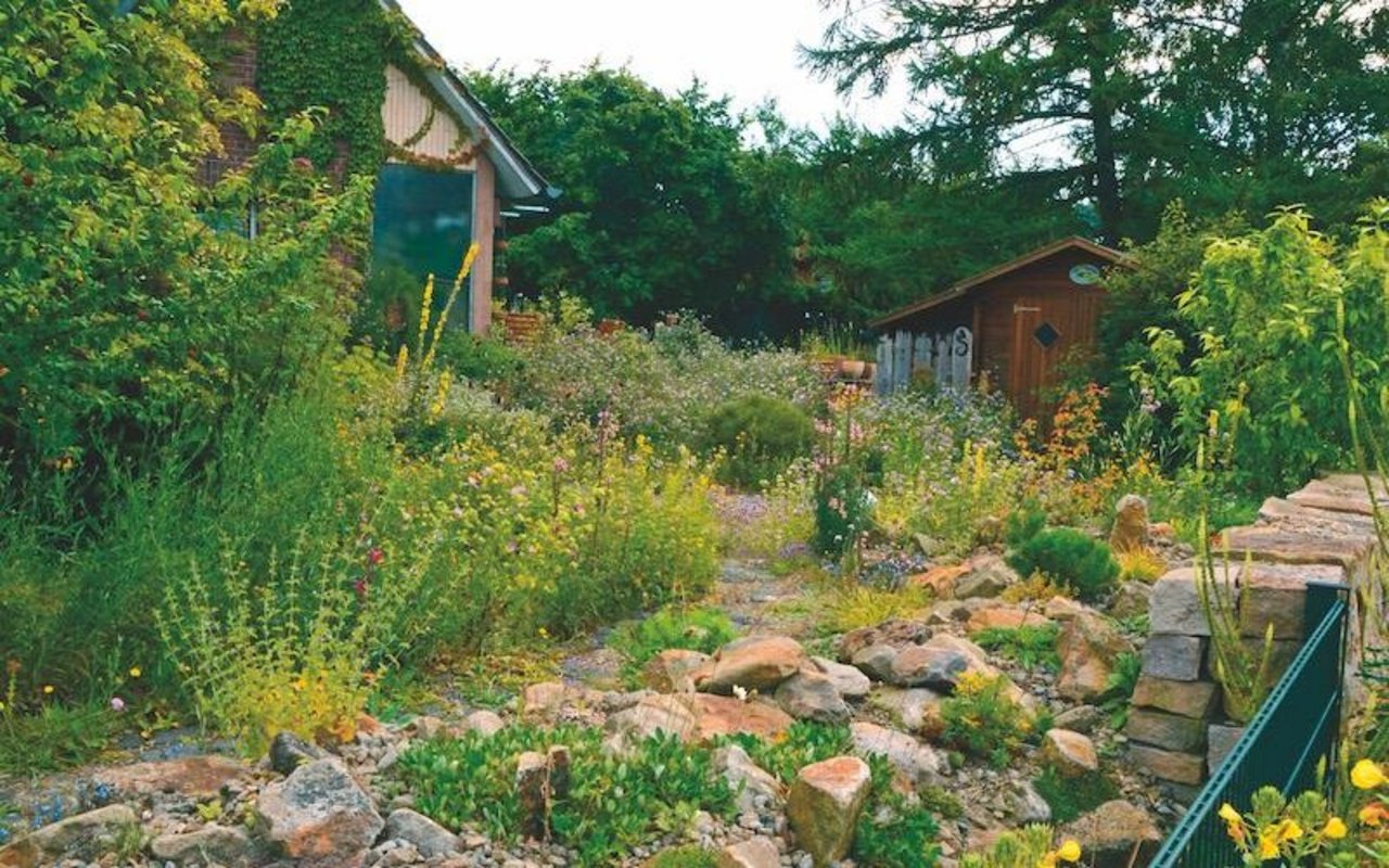 Voller Farben, Blumenduft, singenden Vögeln, summenden Bienen und zirpenden Grillen macht der Aufenthalt im eigenen Garten viel mehr Freude. Hier finden Vögel auch Nahrung und Nistmöglichkeiten, die sie in einem monotonen Garten nicht finden. (Bild zVg/ Reinhard Witt)