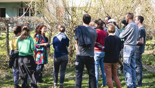 Zum Angebot der Permakultur-Beratung Emmen gehört auch beispielsweise ein Wildkräuterrundgang. (Bilder zVG)