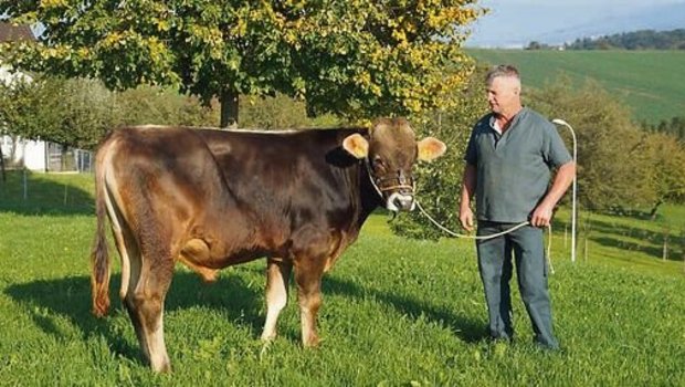 Fredi Schmid, Milchproduzent aus Wittenbach, ist stolz auf den noch jungen Stier. 