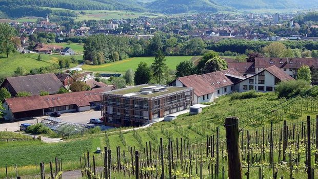 Das FiBL wird ausgebaut: Vorgesehen sind neue Büros und Labors, ein Gewächshaus, eine moderne Konferenzinfrastruktur sowie der Bau eines Multifunktions-Experimental-Stalls. (Bild Thomas Alföldi, FiBL)