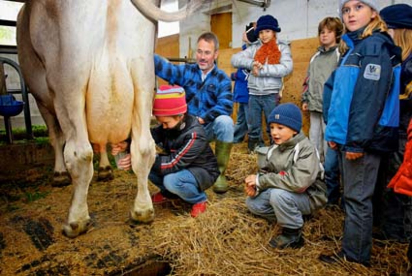 Sehen, wie Kühe gehalten werden: Eine Stallvisite macht das möglich. (Bild Simon Heer/ www.landwirtschaft.ch)