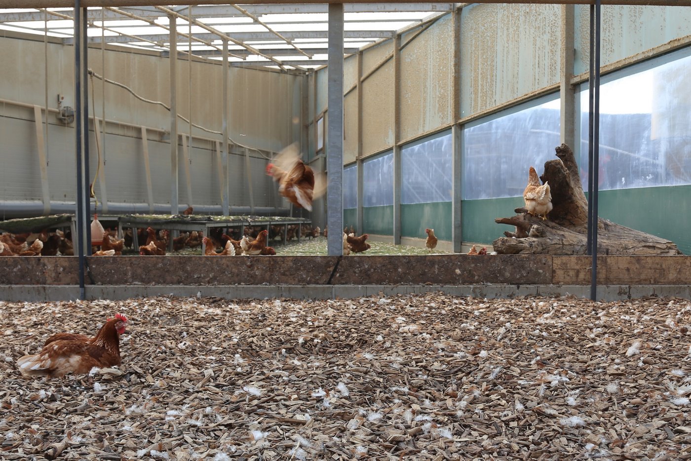 Blick in ein Abteil des runden Gebäudes.