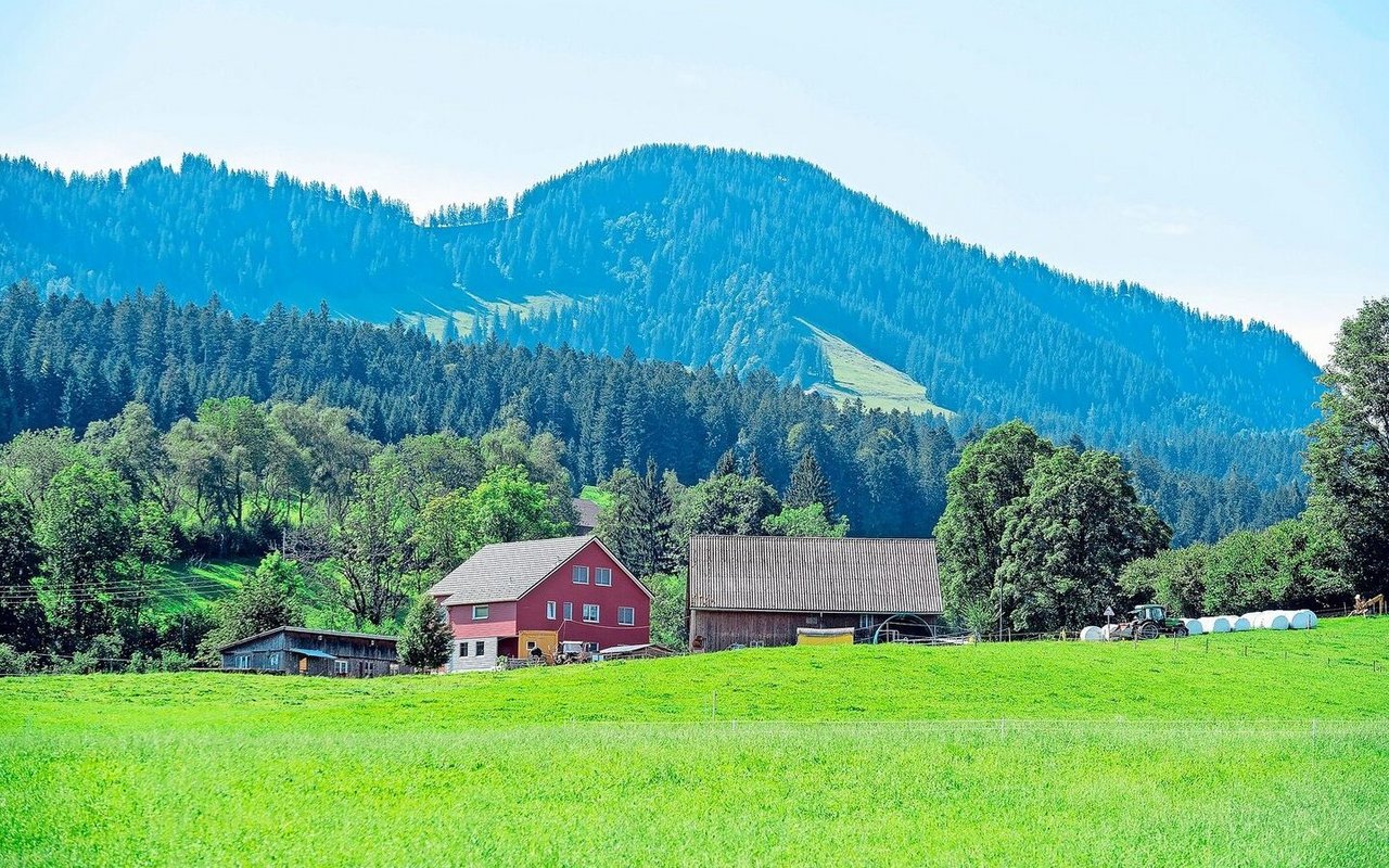 Bereits von Weitem ist das auffällig rote Wohnhaus der Familie Wicki sichtbar. Der Betrieb ist seit Generationen in Familienhand.
