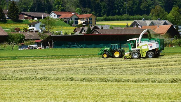 Die Schweiz ist dicht besiedelt. Arbeiten Landwirte an Sonn- und Feiertagen, bleibt dies nicht verborgen.(Symbolbild Ruth Aerni)