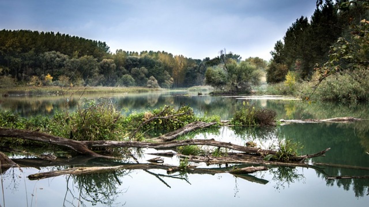 Vor allem die Auenlandschaften entlang der Flüsse sind schützenswert. (Bild Pixabay)