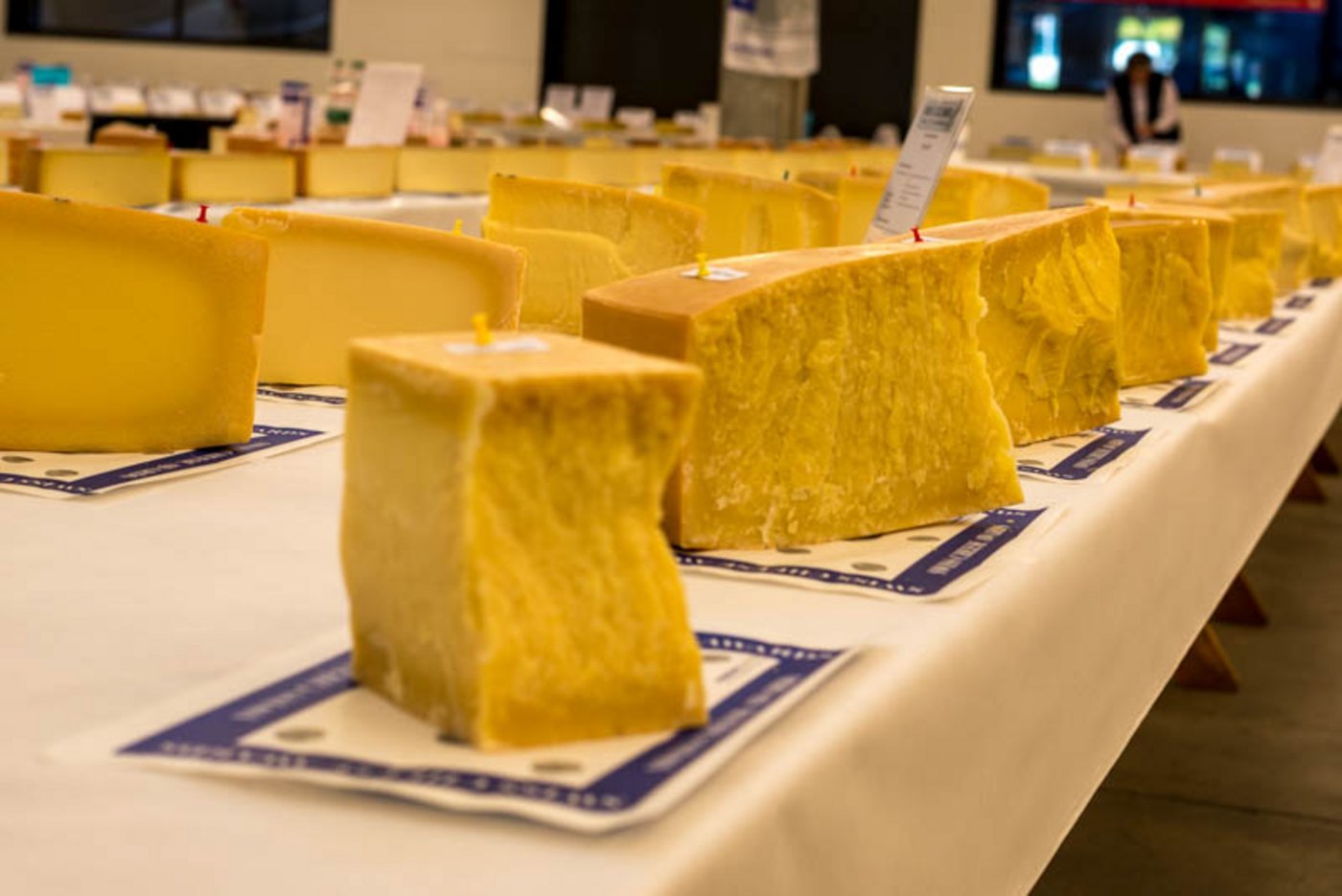 Hartkäse ist nicht gleich Hartkäse. Das wird spätestens dann klar, wenn zehn oder mehr Laibe nebeneinander auf die Verkostung warten. (Bilder hja)