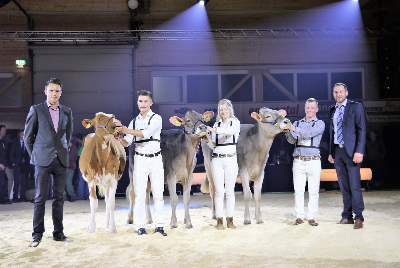 Den Showmanship-Wettbewerb entschied Théo Ballif aus Hennens FR für sich. (Bilder: Ruth Aerni)