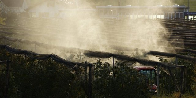 Nachhaltigere Produktionsweisen kosten mehr – daher braucht es auch für die Produzenten einen Mehrwert am Markt. (Bild BauZ)