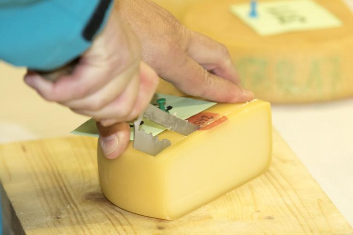Alp Steistoos. (Bild Jessica und Raphael Rinnerthaler)