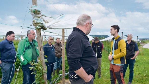 Die Beeren-Vorerntev Die Beeren-Vorernteversammlung fand bei Räss Wildbeeren in Benken statt.