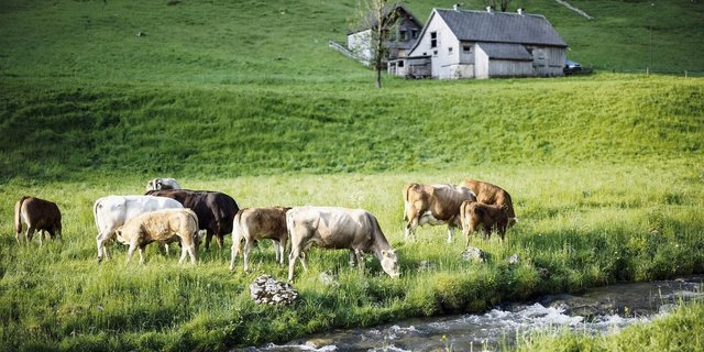 Von der Trockenheit ist in höheren Lagen derzeit noch weniger zu spüren als im Flachland.