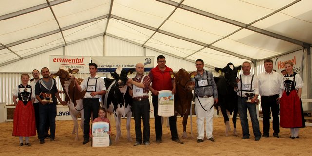 V. l. n. r.: Vize-Miss Mittelland, Luka Absolute Okarina Red; Miss Mittelland, Desgranges Unix Beyonce VRF; Miss Schöneuter, Adjosch Amor Beldona und Vize-Miss Schöneuter, Les Vacjeries Attitude Sunshine. (Bild Andrea Wyss)